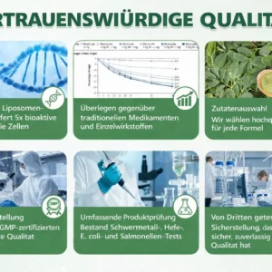 Offizieller Store | Alcuras Moringa × Berberin × AMPK 8-fach Slimming & Stoffwechsel-Nano-Mikronadel-Patch 🇺🇸 Nur 1× täglich · Sichtbare Veränderungen in 7 Tagen