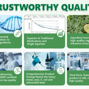 🧬Alcuras™ Moringa × Berberine × AMPK 8-Benefit Slimming & Metabolic Nano Microneedle Patch