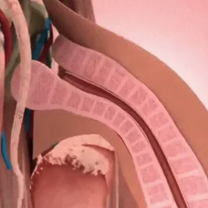 Alcuras® 41-Second Instant Erection Cream — Faster Response, Stronger Performance, Longer Control