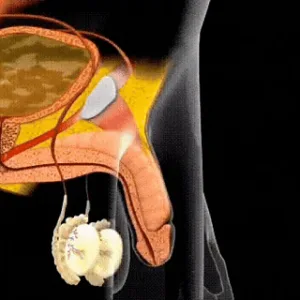 Alcuras® 41-Second Instant Erection Cream — Faster Response, Stronger Performance, Longer Control