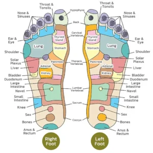 Alcuras™ PRO Herbal Detox Foot Soak Beads
