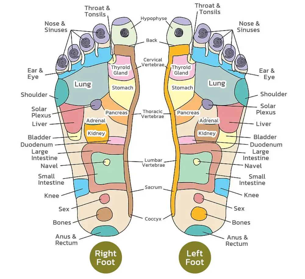 Alcuras™ PRO Herbal Detox Foot Soak Beads