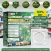 Alcuras® Moringa · Berberine × NAD+ 𝟏𝟎-𝐢𝐧-𝟏 𝐀𝐝𝐯𝐚𝐧𝐜𝐞𝐝 𝐍𝐚𝐧𝐨 𝐌𝐢𝐜𝐫𝐨𝐧𝐞𝐞𝐝𝐥𝐞 𝐏𝐚𝐭𝐜𝐡 — 𝐎𝐧𝐜𝐞 𝐃𝐚𝐢𝐥𝐲, 𝐕𝐢𝐬𝐢𝐛𝐥𝐞 𝐑𝐞𝐬𝐮𝐥𝐭𝐬 𝐢𝐧 𝟕 𝐃𝐚𝐲𝐬