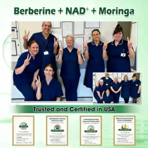 Alcuras® Moringa · Berberine × NAD+ 𝟏𝟎-𝐢𝐧-𝟏 𝐀𝐝𝐯𝐚𝐧𝐜𝐞𝐝 𝐍𝐚𝐧𝐨 𝐌𝐢𝐜𝐫𝐨𝐧𝐞𝐞𝐝𝐥𝐞 𝐏𝐚𝐭𝐜𝐡 — 𝐎𝐧𝐜𝐞 𝐃𝐚𝐢𝐥𝐲, 𝐕𝐢𝐬𝐢𝐛𝐥𝐞 𝐑𝐞𝐬𝐮𝐥𝐭𝐬 𝐢𝐧 𝟕 𝐃𝐚𝐲𝐬