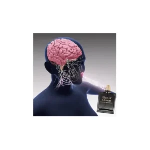 Alcuras® Pheromone Perfume | Boost Personal Charm for First Date & Social Occasions Long Lasting Scent
